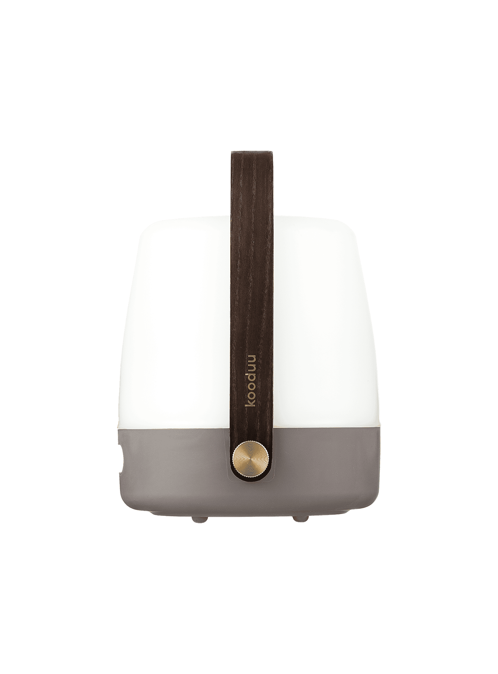 Lite-up Earth by Kooduu – rechargeable LED table lamp with wooden handle, available in trendy colors for stylish home decor.