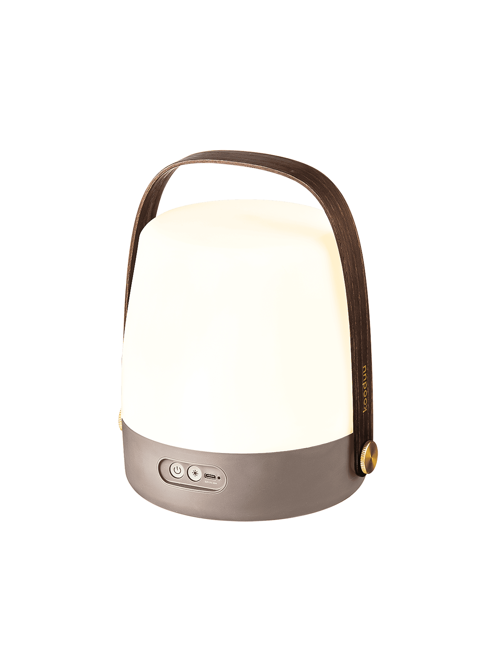 Kooduu Lite-up Earth LED lamp – compact, rechargeable design with a stylish wooden handle for easy indoor and outdoor use.