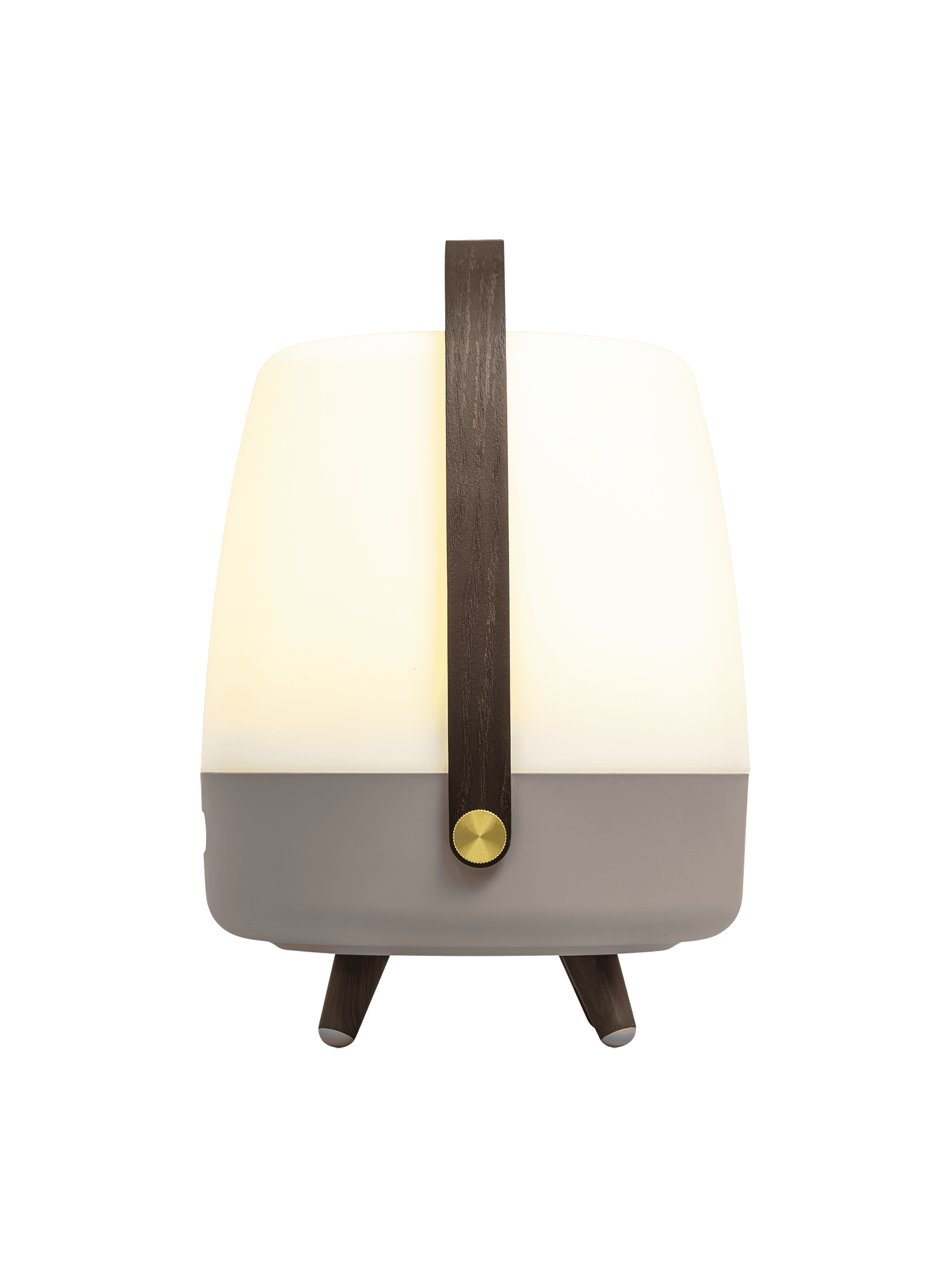 Kooduu Lite-up Play Earth – Bluetooth speaker lamp with dimmable LED lighting and wooden legs for a stylish, portable design.