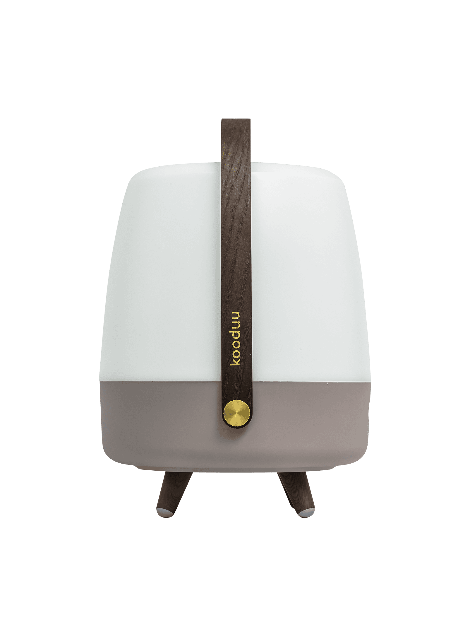 Lite-up Play Earth by Kooduu – Scandinavian-designed LED lamp with JBL sound, perfect for indoor or outdoor use.