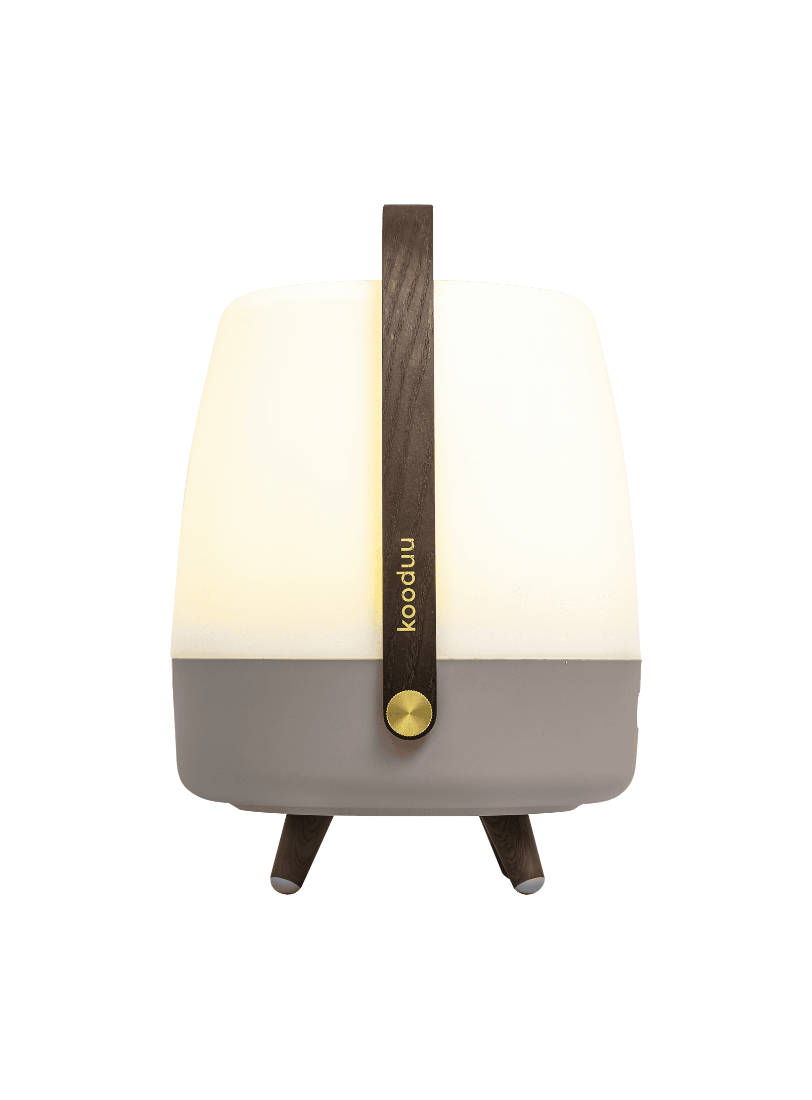 Portable Lite-up Play Earth – LED table lamp and Bluetooth speaker with True Wireless Stereo sound by JBL and dimmable light.