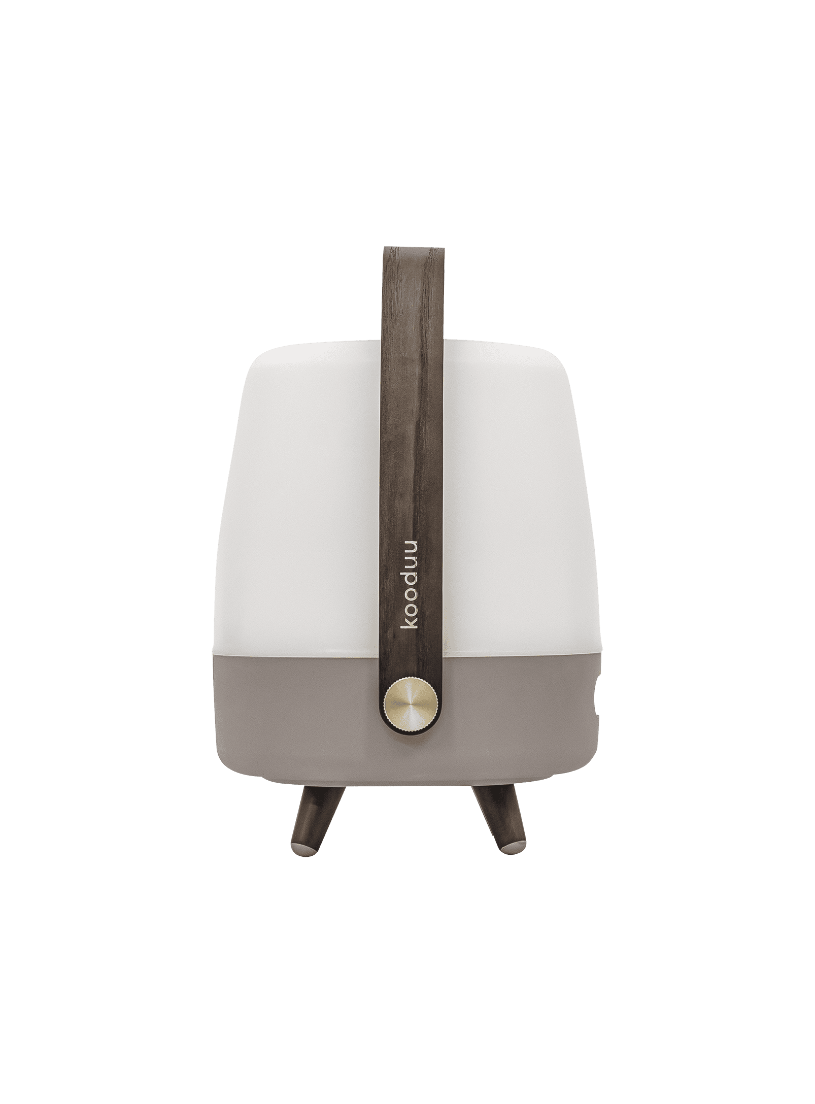 Kooduu Lite-up Play Mini Earth – dimmable LED speaker lamp with Bluetooth and 8 hours of JBL sound for a premium audio experience.