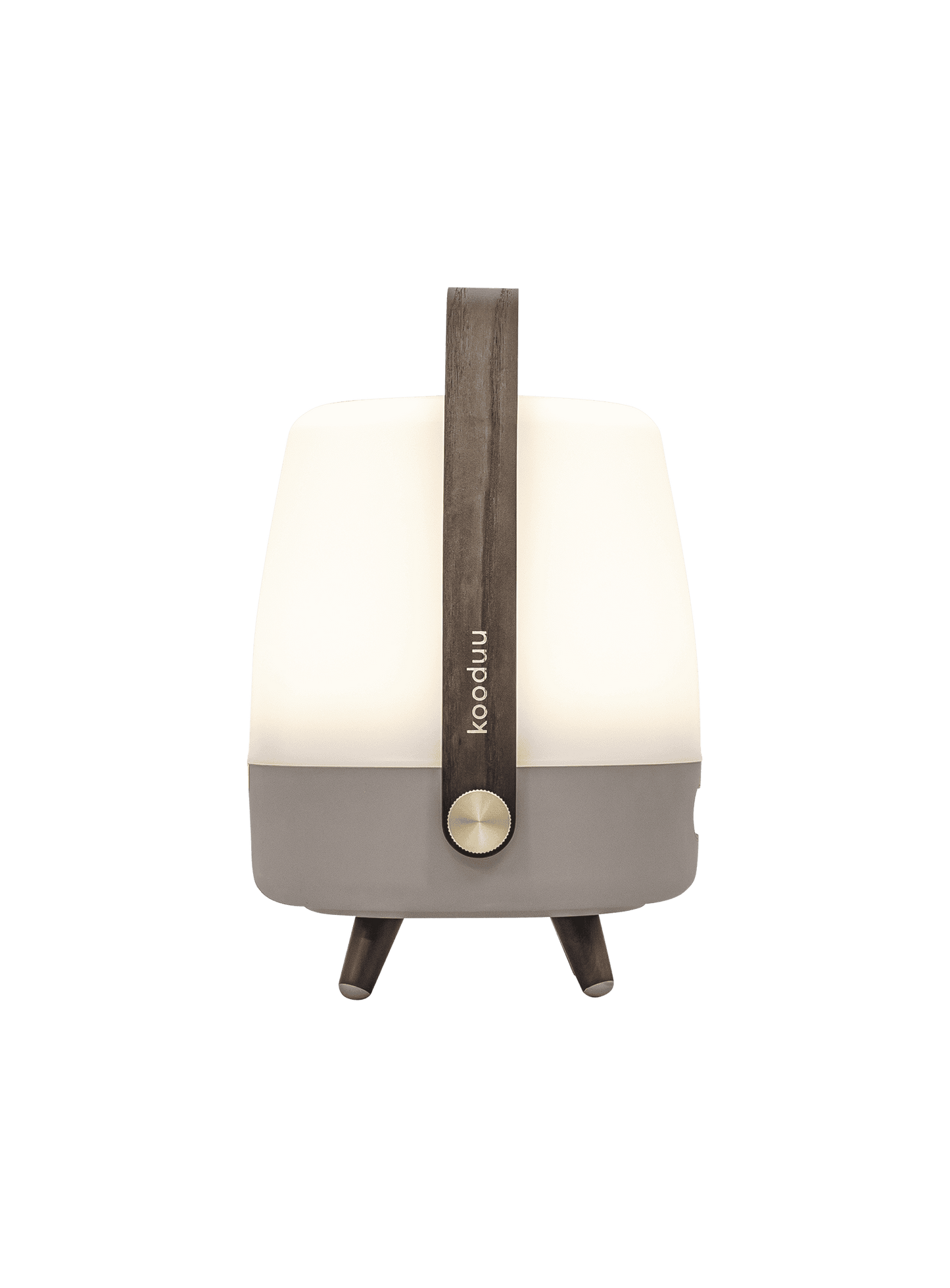 Lite-up Play Mini Earth by Kooduu – portable Bluetooth speaker lamp with adjustable warm white light and JBL True Wireless Stereo sound.