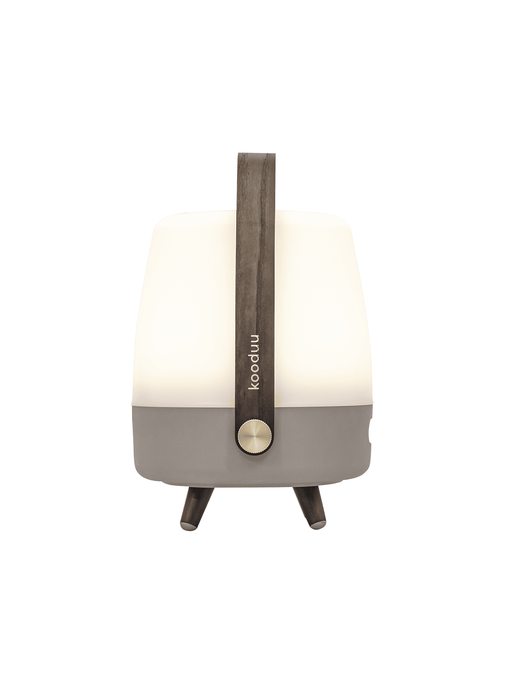 Lite-up Play Mini Earth by Kooduu – portable Bluetooth speaker lamp with adjustable warm white light and JBL True Wireless Stereo sound.