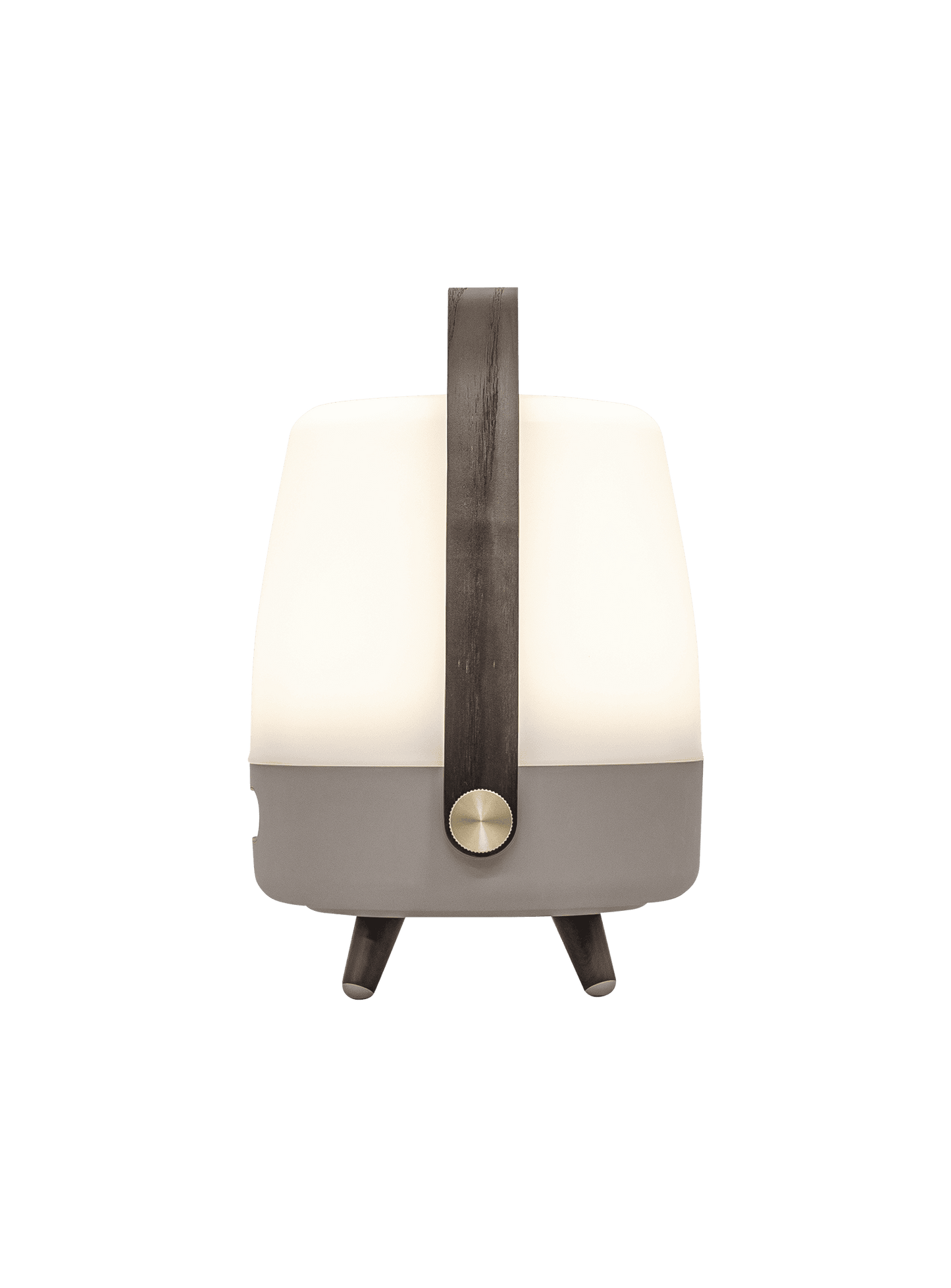 Portable Lite-up Play Mini Earth – stylish LED table lamp with JBL audio and FSC-certified wooden handle for easy portability.