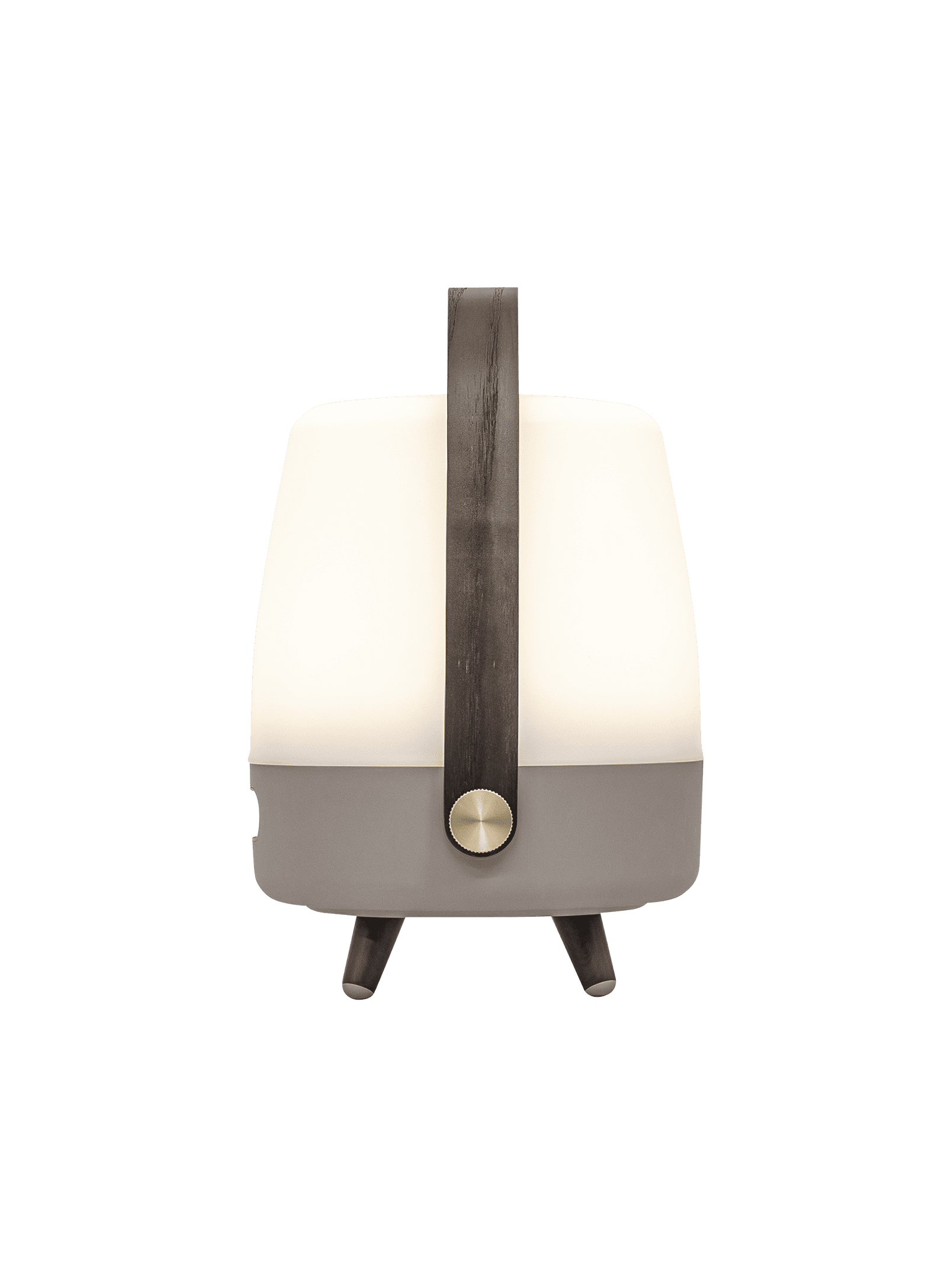 Portable Lite-up Play Mini Earth – stylish LED table lamp with JBL audio and FSC-certified wooden handle for easy portability.