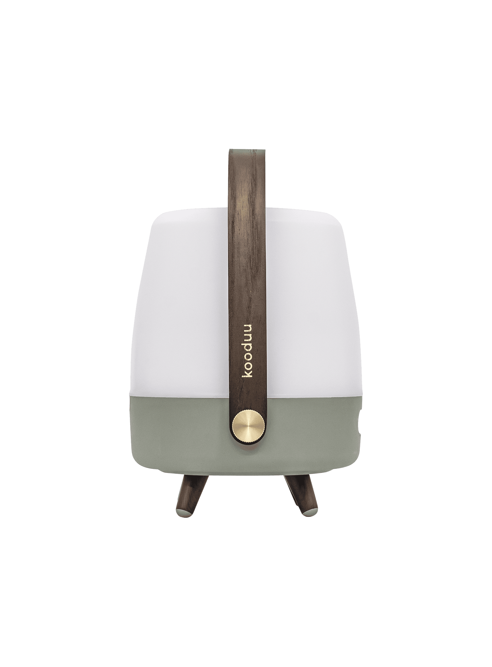 Lite-up Play Mini Petroleum by Kooduu – Bluetooth speaker lamp with 8 hours of JBL sound and adjustable LED lighting for any space.